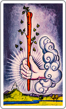 the ace of wands image