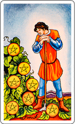 seven of pentacles image
